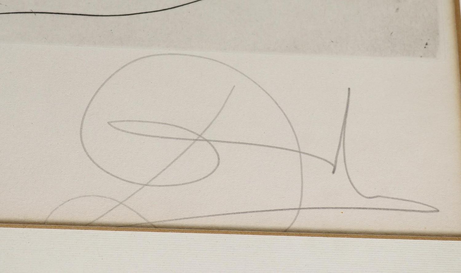 Große Abbildung Nr.2: 124-3073 Dali, Salvador: (Künstlergraphik)
