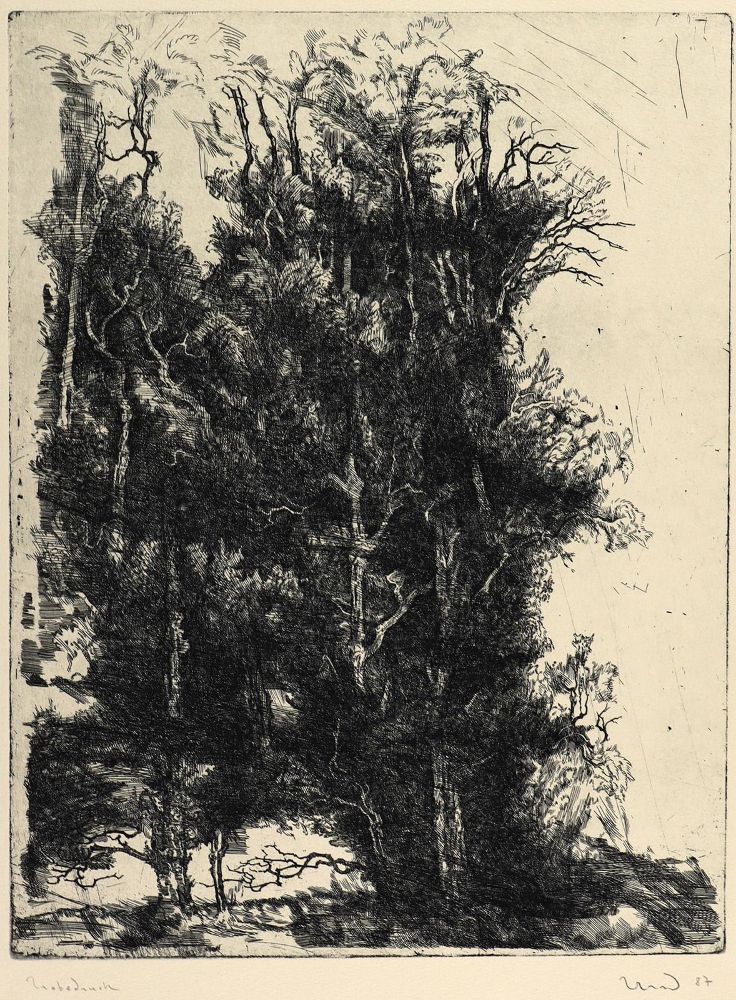 Große Abbildung Nr.1: 124-3134 Eberhardt, Heinz: (Künstlergraphik)