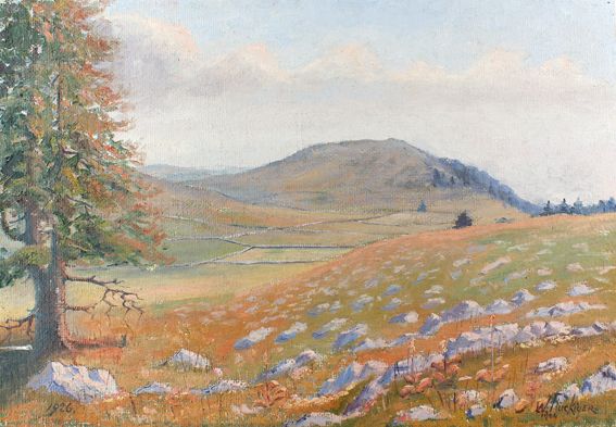 Große Abbildung Nr.1: 124-3205 Flückiger, Willy: (Künstlergraphik)
