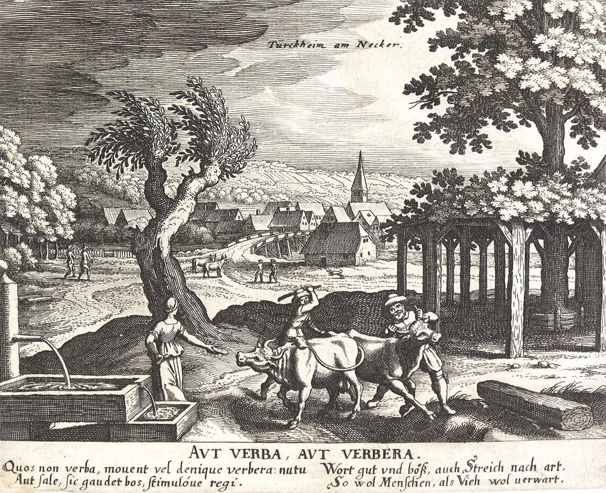 Große Abbildung Nr.1: 124-3676 Merian, Matthäus: (Künstlergraphik)