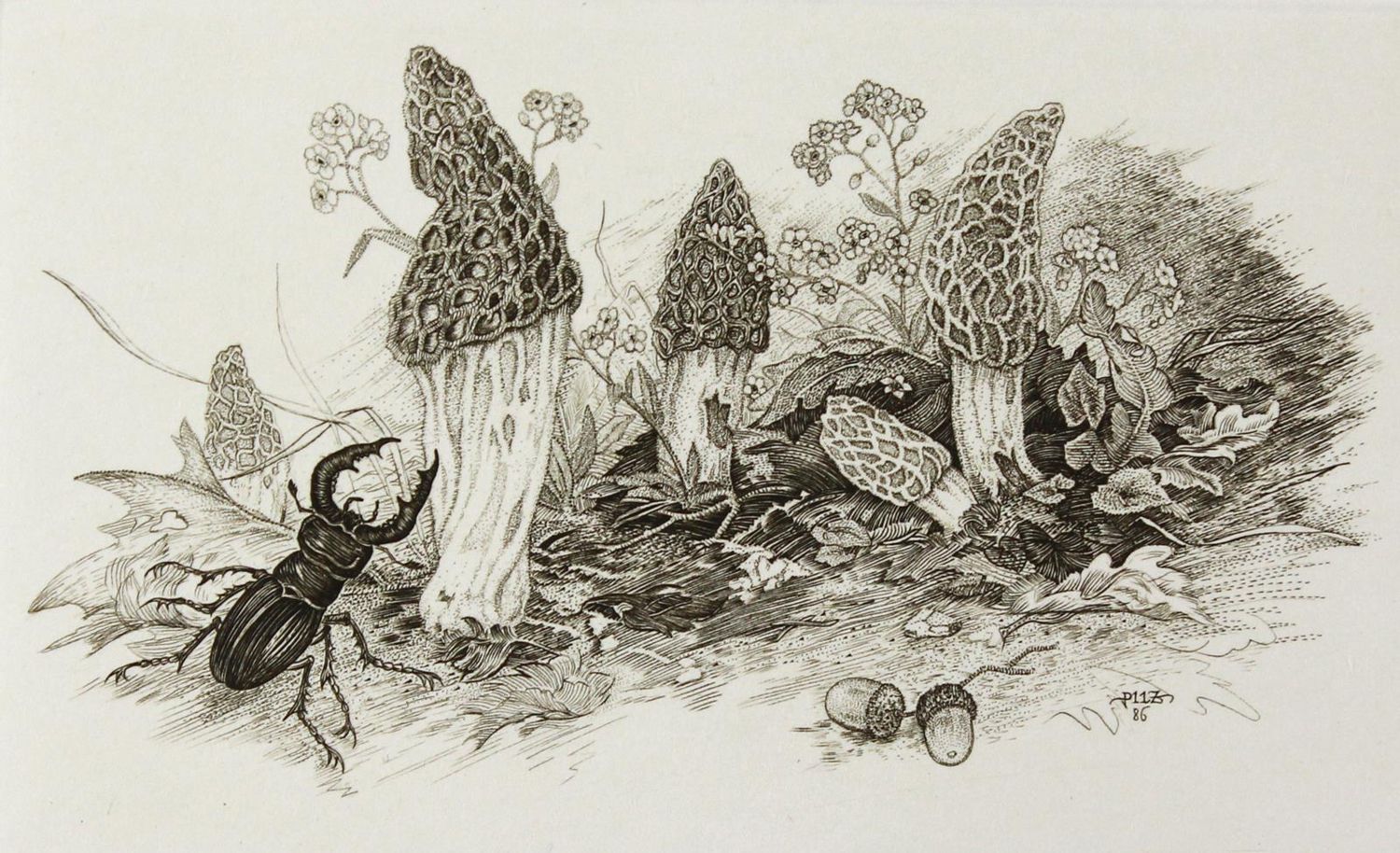 Große Abbildung Nr.2: 124-3791 Pilz, Johann Franz: (Künstlergraphik)