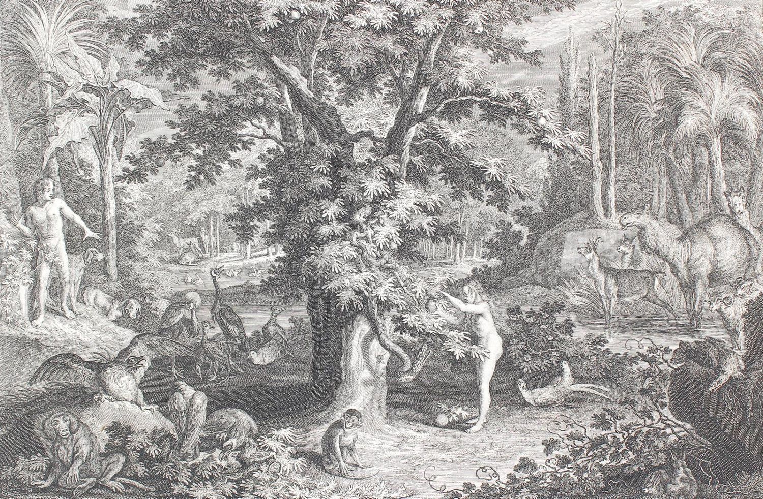 Große Abbildung Nr.3: 124-3900 Ridinger, Johann Elias: (Künstlergraphik)