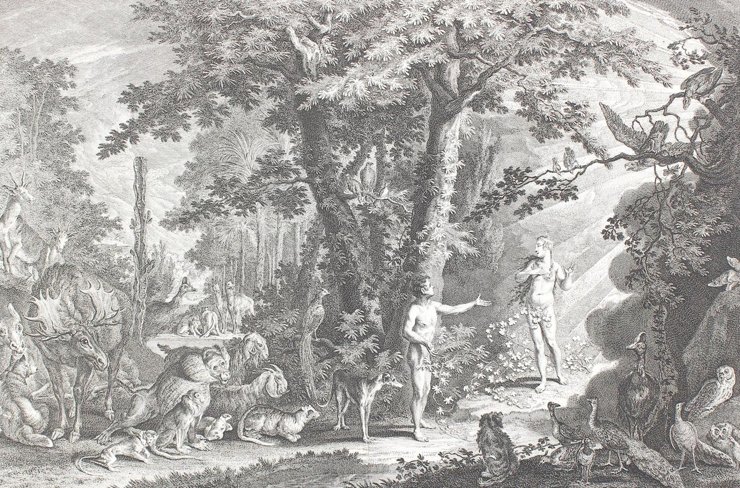 Große Abbildung Nr.4: 124-3900 Ridinger, Johann Elias: (Künstlergraphik)