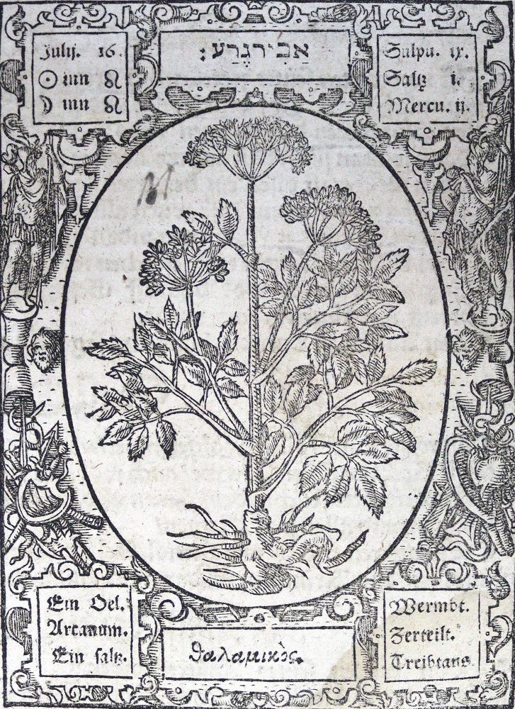 Große Abbildung Nr.4: 124-394 Thurneisser zum Thurn,L.: (Grenzwissenschaften und Okkultismus)