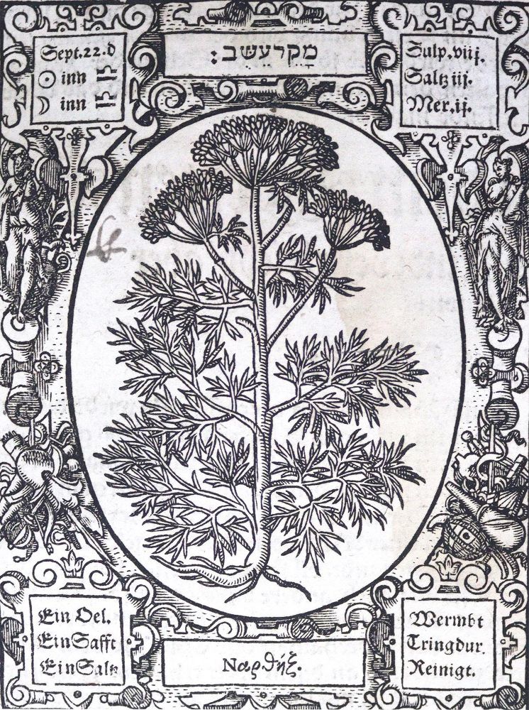 Große Abbildung Nr.5: 124-394 Thurneisser zum Thurn,L.: (Grenzwissenschaften und Okkultismus)