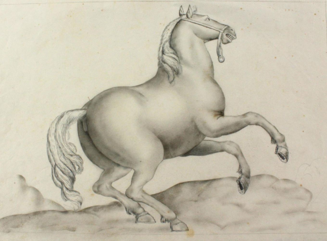 Große Abbildung Nr.1: 124-4223 Pferd.: (Künstlergraphik, Zeichnung)