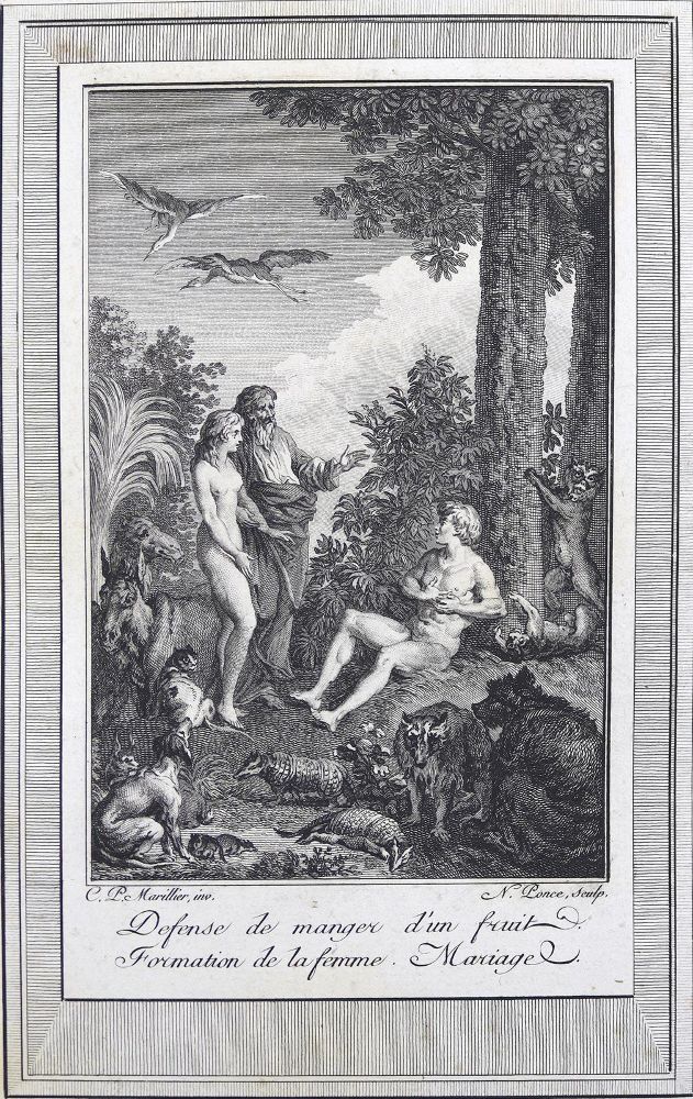 Große Abbildung Nr.2: 124-45 Bilderbibel.: (Bibeln)