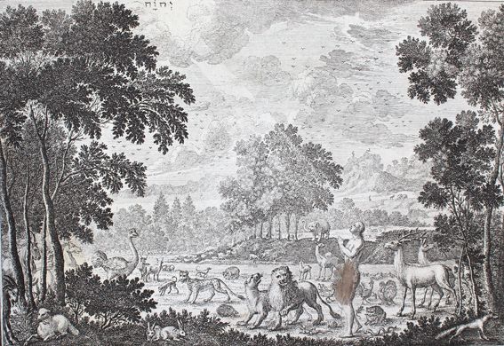 Große Abbildung Nr.1: 124-54 Krauss,J.U.: (Bibeln)