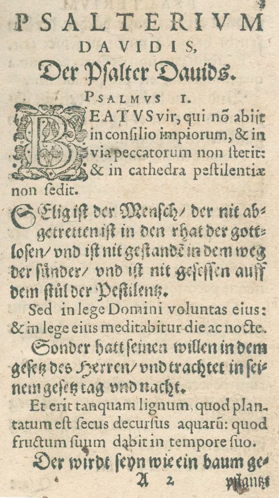 Große Abbildung Nr.2: 124-59 Psalterium Davidis,: (Bibeln)