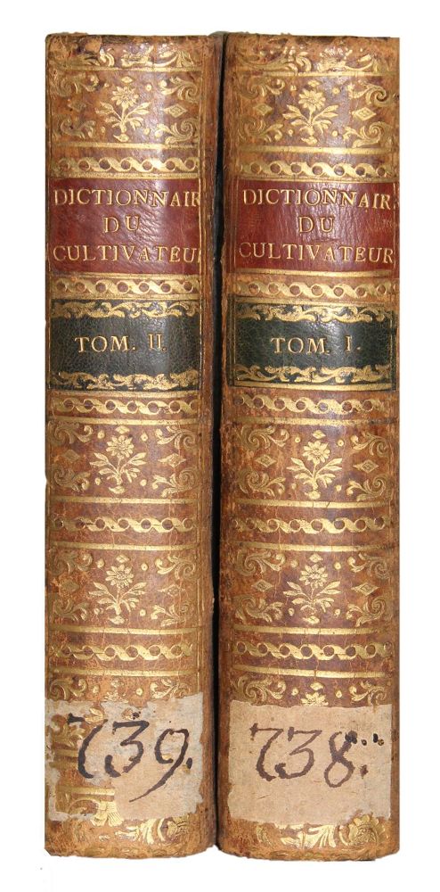 Große Abbildung Nr.2: 124-653 (Alletz,P.A.).: (Küche und Haushalt, Haushalt)