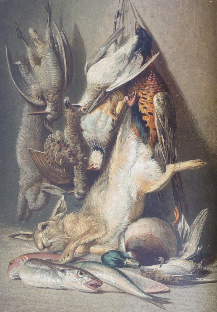 Große Abbildung Nr.2: 124-699 Gouffe,J.: (Küche und Haushalt, Kochbücher)
