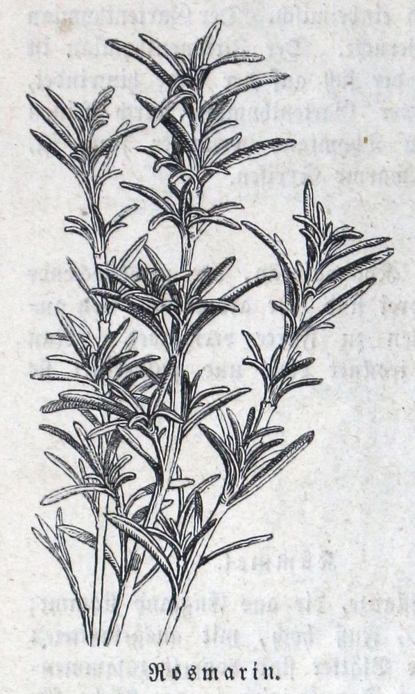 Große Abbildung Nr.2: 124-740 Rottenhöfer,J.: (Küche und Haushalt, Kochbücher)