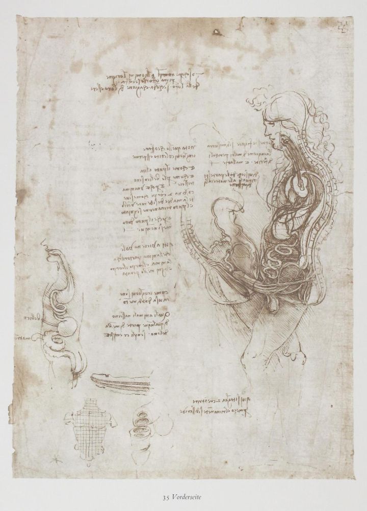 Große Abbildung Nr.1: 124-842 Leonardo da Vinci.: (Kunstwissenschaft)
