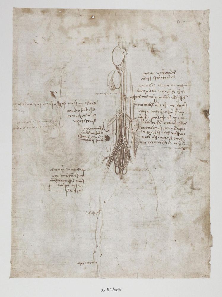 Große Abbildung Nr.2: 124-842 Leonardo da Vinci.: (Kunstwissenschaft)