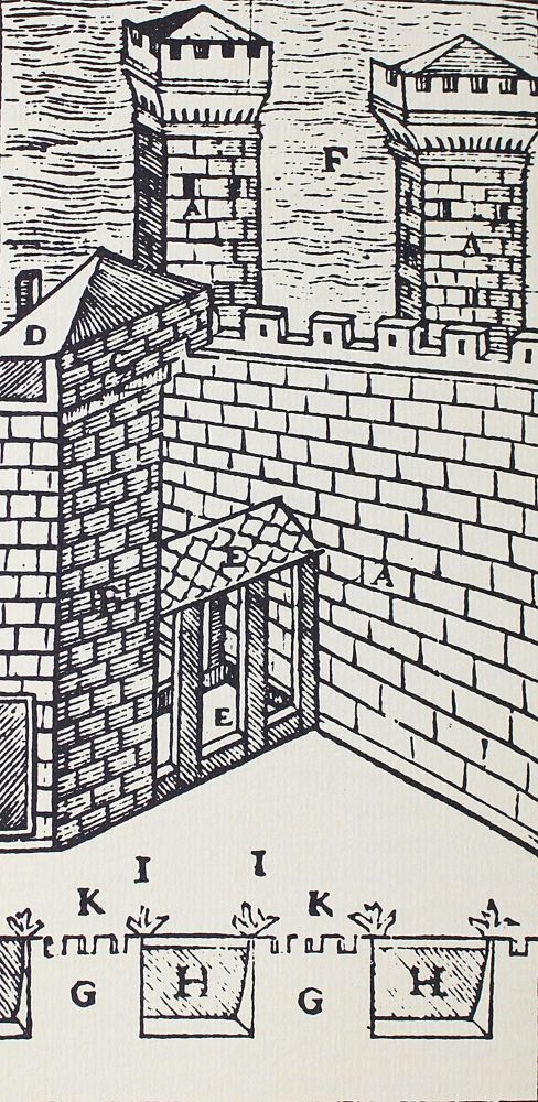Große Abbildung Nr.1: 124-933 Torno,A.: (Bibliographie und Buchwesen)