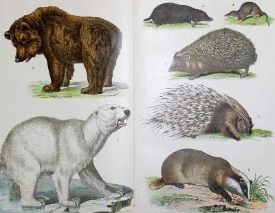Bild Nr.1: 124-1048 Walther,E.: (Kinder- und Jugendbücher)