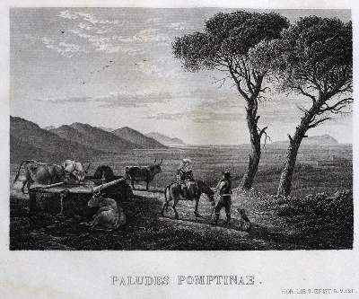Bild Nr.1: 124-1220 Sickler,(F.K.L.).: (Literatur und illustrierte Bücher bis 19.Jahrhundert)