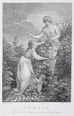 Bild Nr.1: 124-1238 Wieland,C.M.: (Literatur und illustrierte Bücher bis 19.Jahrhundert)