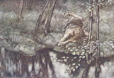 Bild Nr.1: 124-1412 Wagner,R.: (Rackham)