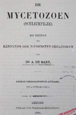 Bild Nr.1: 124-1458 Bary,A.H.de.: (Botanik, Pilze)