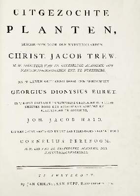 Bild Nr.9: 124-1464 Trew,Ch.J. (Botanik)