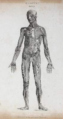 Bild Nr.2: 124-1475 Chirurgie.: (Medizin)