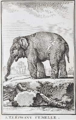 Bild Nr.1: 124-1512 Buffon,G.L.L.: (Zoologie)