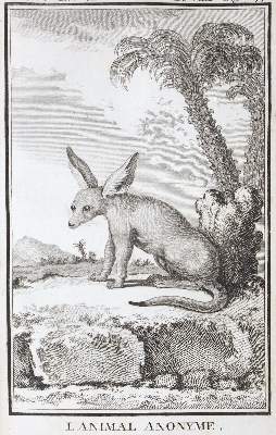 Bild Nr.2: 124-1512 Buffon,G.L.L.: (Zoologie)