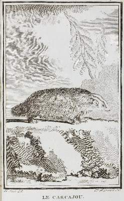 Bild Nr.3: 124-1512 Buffon,G.L.L.: (Zoologie)