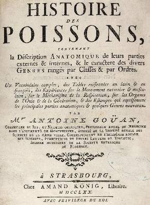 Bild Nr.1: 124-1516 Gouan,A.: (Zoologie, Fische)