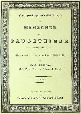 Bild Nr.1: 124-1521 Schinz,H.R.: (Zoologie)