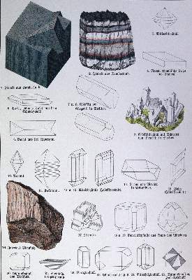 Bild Nr.2: 124-1524 Schubert,G.H.v.: (Zoologie)