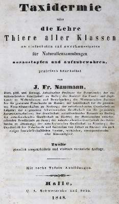 Bild Nr.1: 124-1531 Naumann,J.F.: (Zoologie, Tierpräparation)