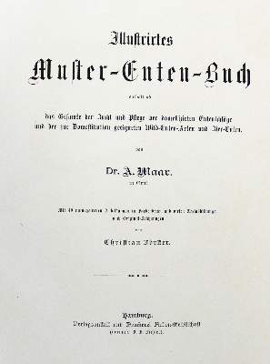 Bild Nr.3: 124-1533 Maar,A.: (Zoologie, Vögel, Enten)