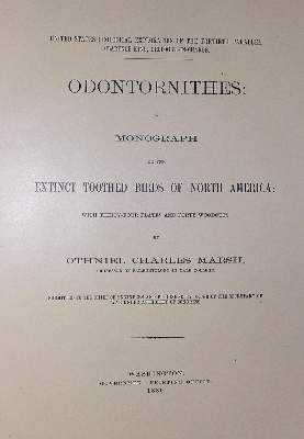 Bild Nr.1: 124-1534 Marsh,O.C.: (Zoologie, Vögel)