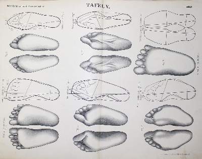 Bild Nr.1: 124-1595 Knöfel,R.: (Verschiedene Gebiete - Varia, Schuhmacher)