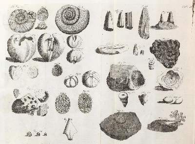 Bild Nr.3: 124-1604 Valentini,M.B.: (Verschiedene Gebiete - Varia)