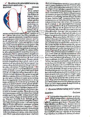Bild Nr.1: 124-181 Rainerius de Pisis.: (Inkunabeln)