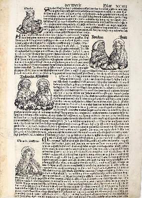 Bild Nr.1: 124-183 Schedel,H.: (Inkunabeln)