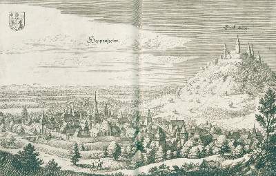 Bild Nr.4: 124-228 Zeiller,M.: (Merian, Deutschland)