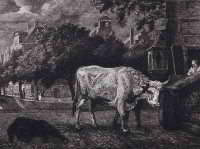 Bild Nr.2: 124-2483 Jagdtreffen.: (Varia, Jagd, Amsterdam)