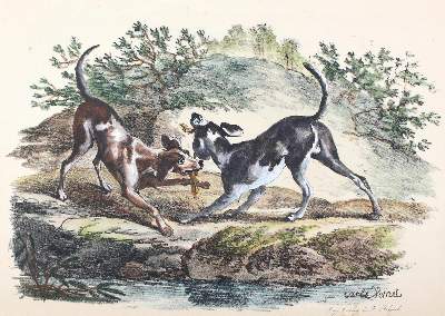 Bild Nr.4: 124-2504 Delpech, Francois-Séraphin: (Varia, Kynologie)