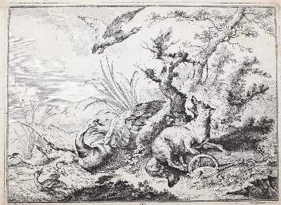 Bild Nr.1: 124-2578 Riedel, Gottlieb Friedrich: (Varia, Vögel)