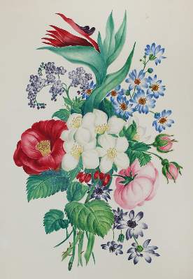Bild Nr.1: 124-2962 Blumenstillleben.: (Künstlergraphik)