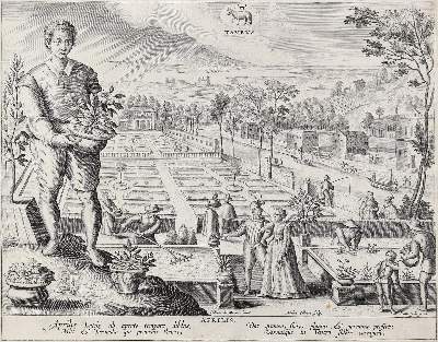 Bild Nr.1: 124-3048 Collaert, Adriaen: (Künstlergraphik)