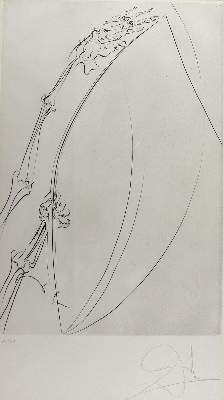 Bild Nr.1: 124-3072 Dali, Salvador: (Künstlergraphik)