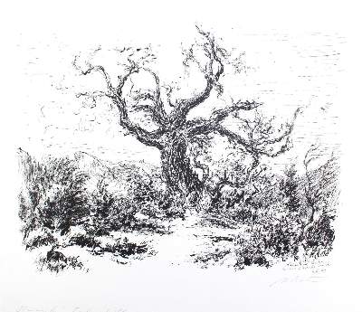 Bild Nr.6: 124-3094 Dietmann, Hans: (Künstlergraphik)