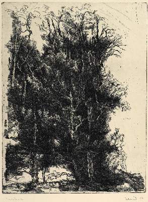 Bild Nr.1: 124-3134 Eberhardt, Heinz: (Künstlergraphik)