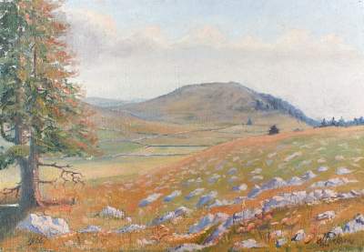 Bild Nr.1: 124-3205 Flückiger, Willy: (Künstlergraphik)