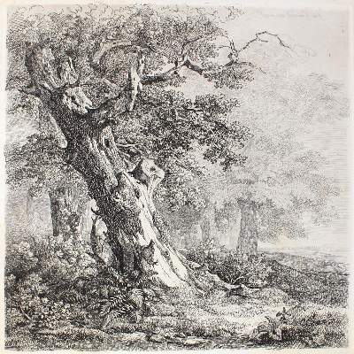 Bild Nr.1: 124-3300 Hannen, Remigius Adrianus van: (Künstlergraphik)